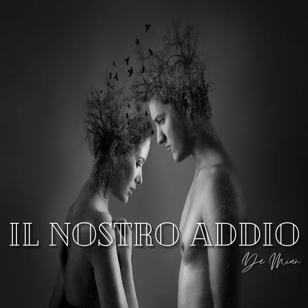 Copertina di Il nostro addio