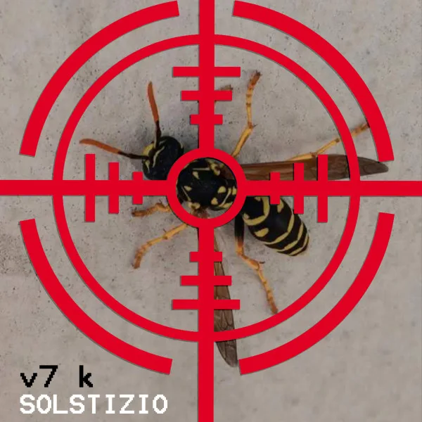 Copertina di Solstizio