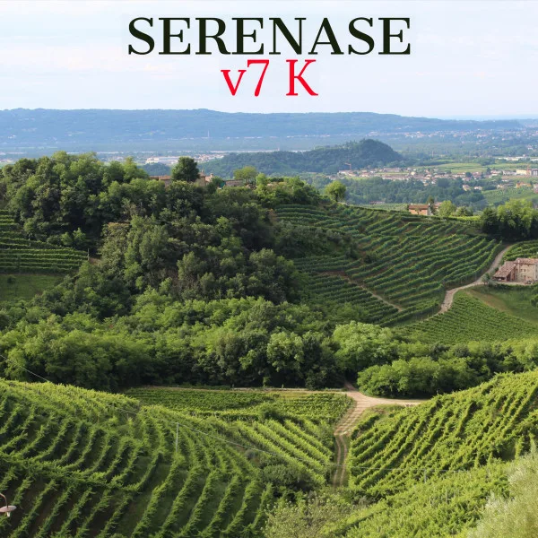 Copertina di Serenase