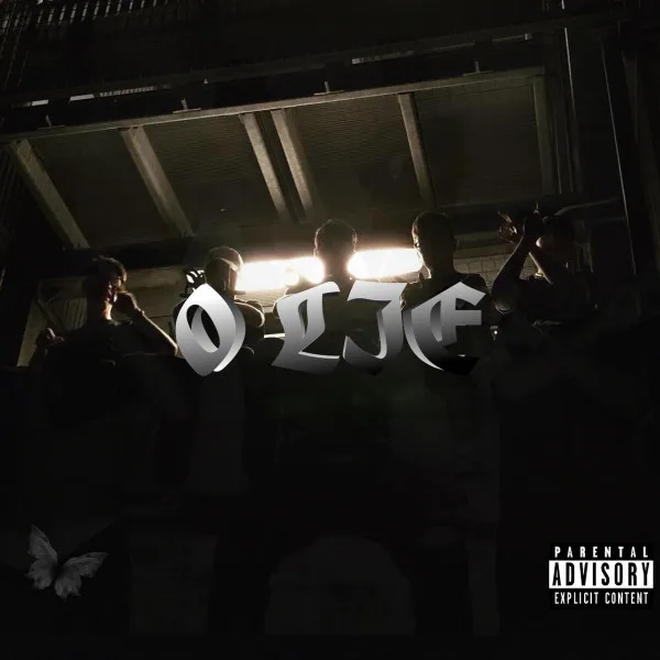 Copertina di 0 LIE