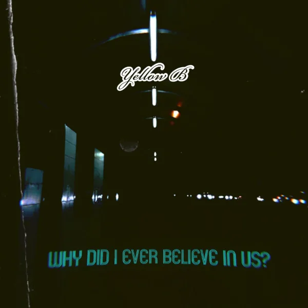 Copertina di Why did i ever believe in us?