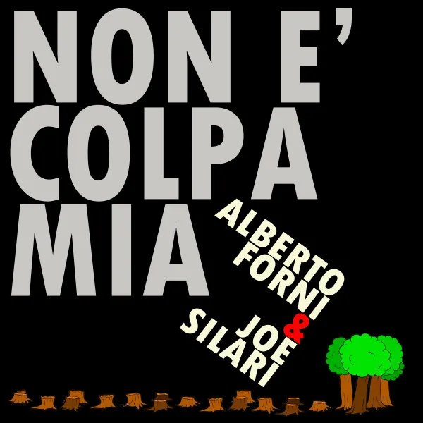 Copertina di Non è colpa mia