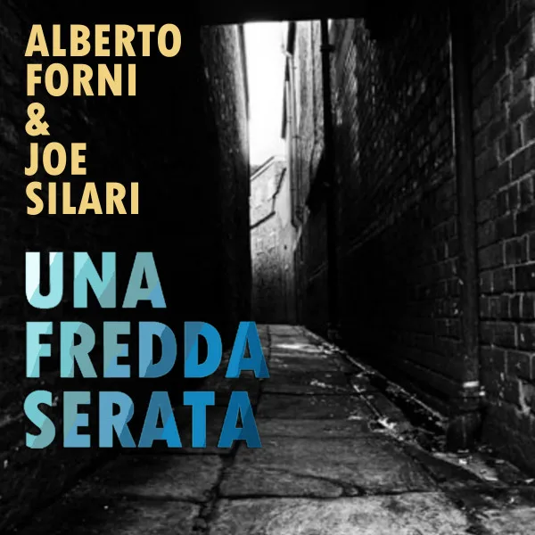 Copertina di Una fredda serata