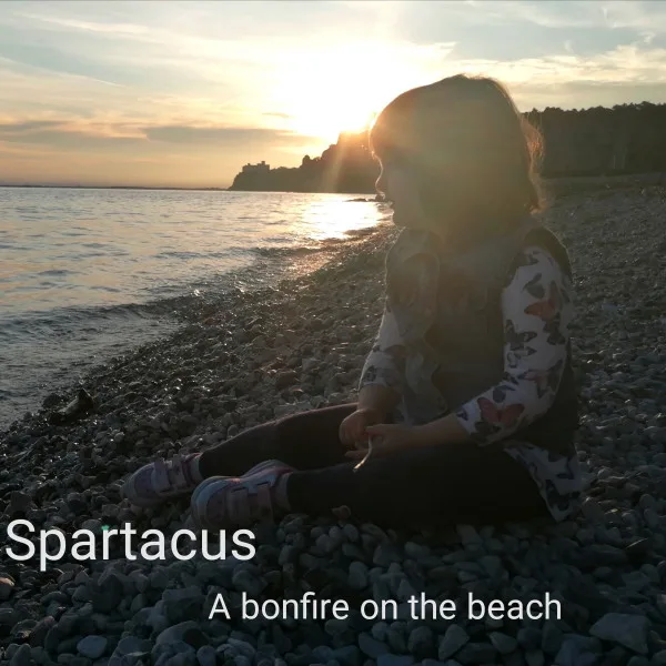 Copertina di A bonfire on the beach