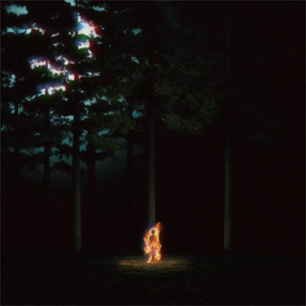 Copertina di The Witch