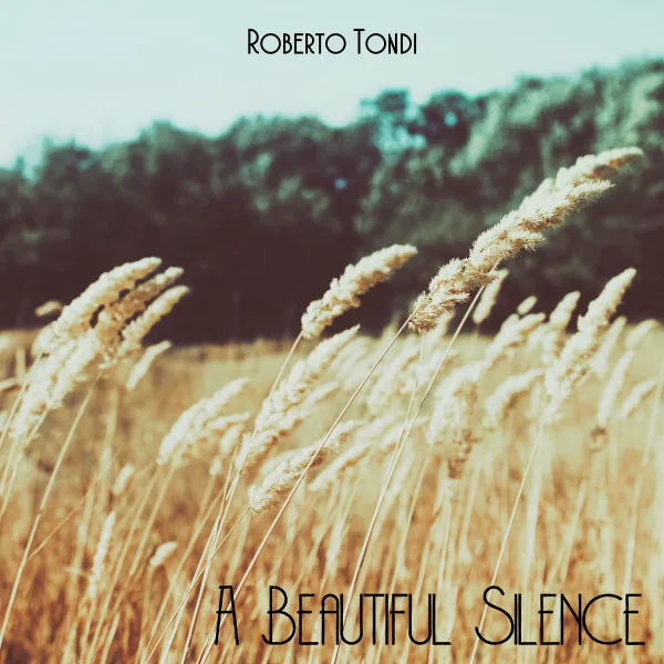 Copertina di A Beautiful Silence