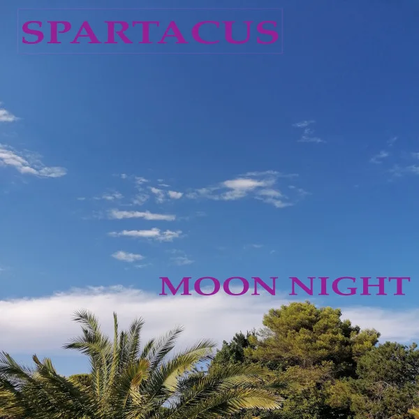 Copertina di MOON NIGHT