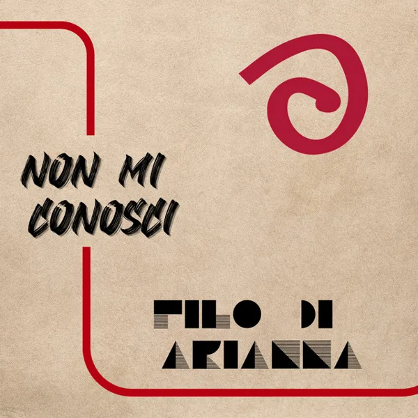 Copertina di Non mi conosci