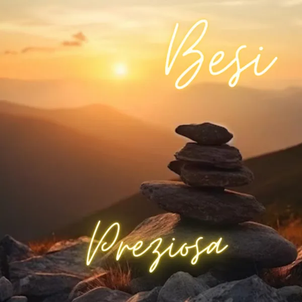 Copertina di Preziosa