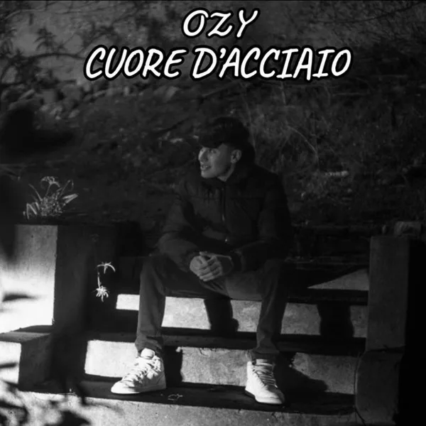 Copertina di Cuore D’acciaio