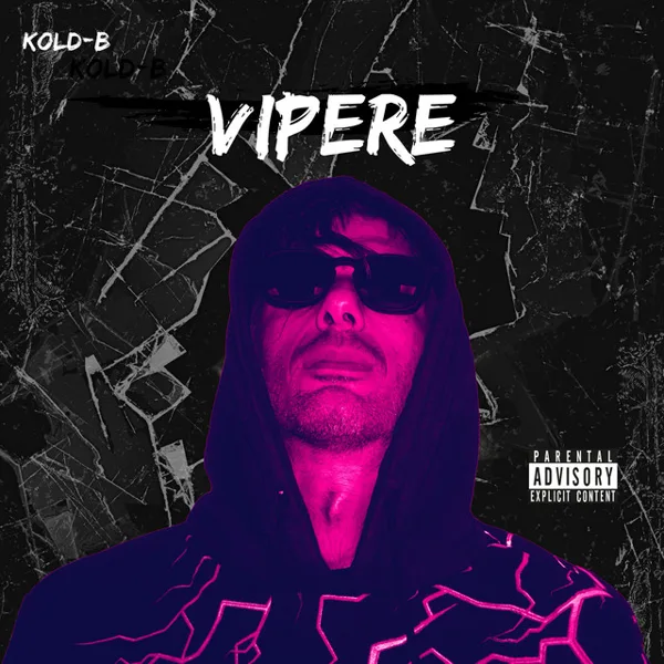 Copertina di VIPERE