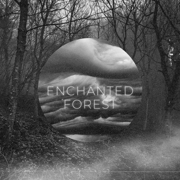 Copertina di Enchanted Forest