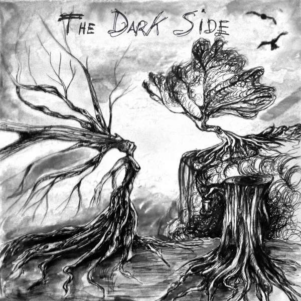 Copertina di The Dark Side