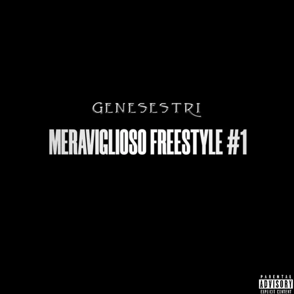 Copertina di MERAVIGLIOSO FREESTYLE #1